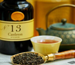 uԌ(Mtg)vVK|[̍g TWGLbXgeB[(ubNeB[)50gʓ(20t)SFTGFOP1 (CASTLETON SFTGFOP1 50g)