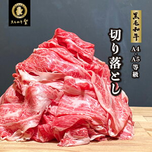 јa ؂藎Ƃ 500g A5 A4 N Ȃ јaؗ a5N a؂藎Ƃ a ؗ  ؂藎 [X [X Mtg Zbg O 