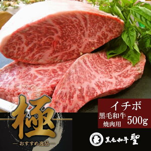 јa󏭕ʃC`{ ēp 500g 󏭕 C`{ BBQ W[V[ fBi[ p[eB[  O т̂  Y јa j Ԃ LO lC tFX p[e