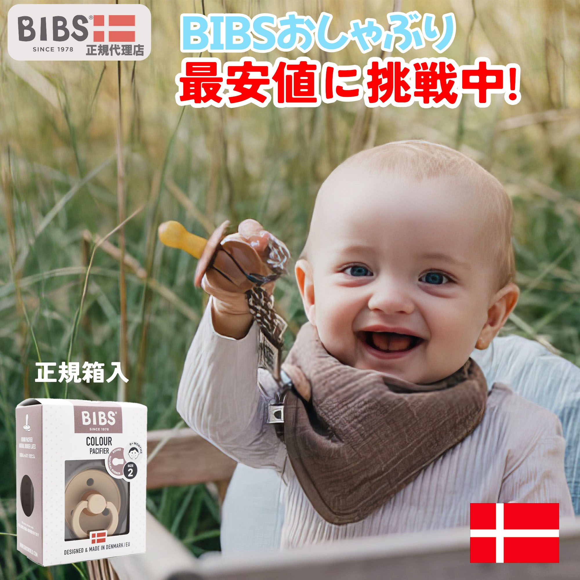 ビブス BIBS おしゃぶり 1個 ランキング1位獲得 正規品箱パッケージ デンマーク 北欧 天然ゴム 新生児 赤ちゃん ベビー 出産祝い 0ヶ月  6ヶ月 12ヶ月 18ヶ月 プレゼント 贈答 おみやげ 贈り物 おそ安