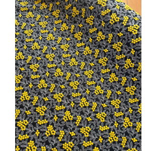 hJn hJ n ~U lCr[ Rbg 100% IV  nhCh  m obO |[`