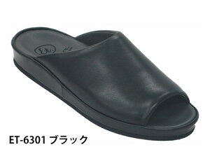 hN^[V[Y G^[eCi[ ET-6301 / OiS T_ Xbp   K RtH[gT_ Г jp