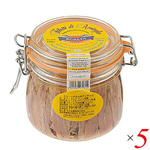 yBFI100~N[|Iw2{IzA`r tB ʋl XJ[ÃA`r 550giŌ` 350gj5Zbg