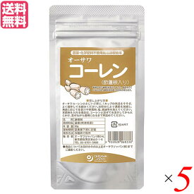 【マラソン限定！ポイント2倍！100円クーポン！】蓮根 レンコン パウダー オーサワ コーレン（節蓮根入り）50g 5個セット 送料無料