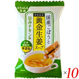 フリーズドライ スープ 即席スープ 国産ごぼうと高知県産黄金生姜スープ 旨みチキン味 9g 10個セット イー・有機生活 送料無料