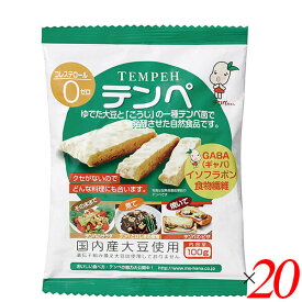 【4/25(木)限定！楽天カードでポイント6倍！】テンペ（レトルト）100g 20個セット マルシン食品 国産 大豆ミート 大豆肉 送料無料