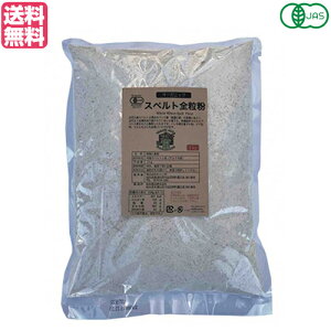 Xyg Xyg I[KjbN L@XygS 1Kg ב