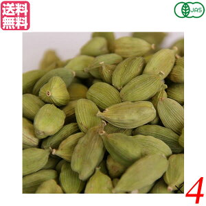 y12/1()I|Cgő8{IzJ_ z[ L@ Ɩp VOXSPICE I[KjbNJ_V[h500g 4Zbg 