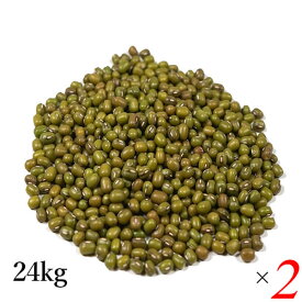 【マラソン限定！ポイント2倍！100円クーポン！】ムング豆 小豆 緑豆 業務用 アリサン ムング豆 24kg 2個セット 海外認証