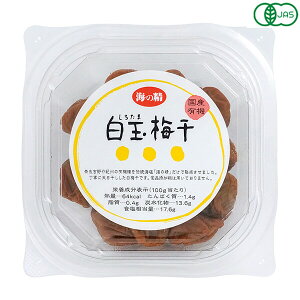 y300|CgRIz~ I[KjbN Y C̐ YL@ʔ~ 120g