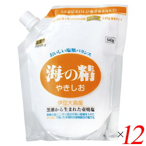 yX[p[SALEI100~N[|Iw2{Iz VR V C̐ ₫iX^hpbNj540g 12Zbg 
