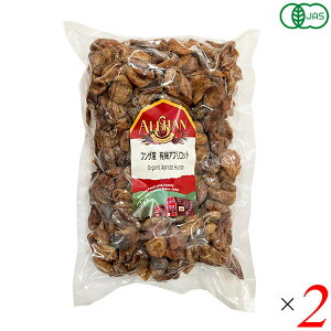 y11/15(y)IyVJ[hŃ|Cgő12{IztUY L@AvRbg 9kg 2Zbg  I[KjbN hCt[c