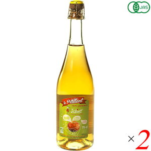 y300|CgRIzWGbg I[KjbN Xp[NO AbvW[X 750ml 2{Zbg 񂲃W[X Y_ Xg[g