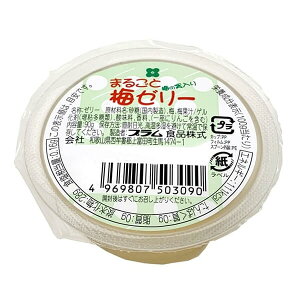 y11/18()I|Cgő4{IzvHi ܂邲Ɣ~[[ 90g ~̎ Î_ς ՂՂH