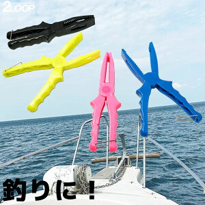 yJ[Iz͂񂾋͓Ȃ tBbVObv ͂ ނ AW CV KV o To Sɒ͂  nT~ oT~