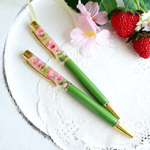 n[oE{[y_݂邭_ʌ葡蕨Ƀn[oE{[yv[g_1500~_v`Mtg_܂Ŗ݂邭̂悤ȃn[oE{[y_D_