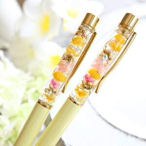 n[oE{[y_ӂƂD_pXeCG[_ʌ葡蕨Ƀn[oE{[yv[g_1500~_v`Mtg_t炵_F̃n[o