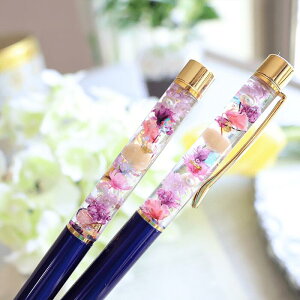 n[oE{[y_p[v̂ӂƂԂi_p[vlCr[_ʌ葡蕨_v[g_1500~_v`Mtg_iD_AWXgJ[̃n[oE{