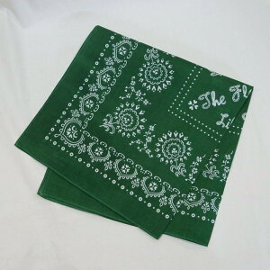 FN-GB-101-GRN-�o���_�i-FNGB101-FLATHEAD-�t���b�g�w�b�h-�n���J�`�y�y�M�t_��z