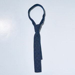 SJTIE24-02  hqlN^C02 gߗhqn TCW[Y lN^Cyzysmtb-tkzyyMt_z