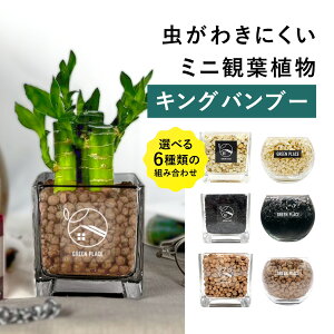 y × AݍނIׂz ~Iou[ nChJ`[ ϗtA ygȂ k͔| j  CeA  S  3 GREEN PLACE TN