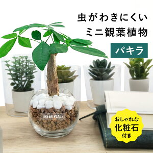 yϐΕtz pL nChJ`[ ϗtA yȂ k͔| j Mtg 3 ^   ~jTCY S  GREEN PLACE TN