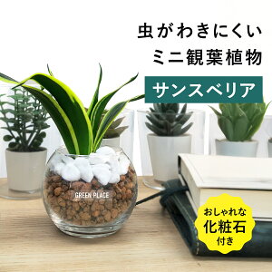 yϐΕtz TXxA nChJ`[ ϗtA yȂ k͔| j Mtg 3 ^   ~j S  GREEN PLACE TN