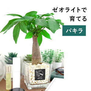 y × AݍނIׂz pL nChJ`[ ϗtA ygȂ k͔| j  CeA  S  3 GREEN PLACE TN