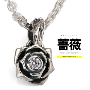 Vo[ ANZT[ Y fB[X lbNX pe2165-chKN`[tIVo[lbNX c004050cm`F[t [ L[rbNWRjA o ]