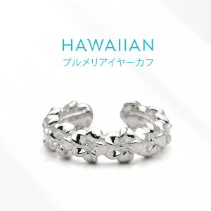 C[Jt nCAWG[ vA Vv Vo[925 ANZT[ Ўp pi0599