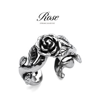 C[Jt Vo[925 Y KN [Y ANZT[ pi0614 Ўp