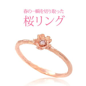 r0741 Vo[ ANZT[ O fB[X ẗuƂAJ̍O   TN sNS[h w Vo[925