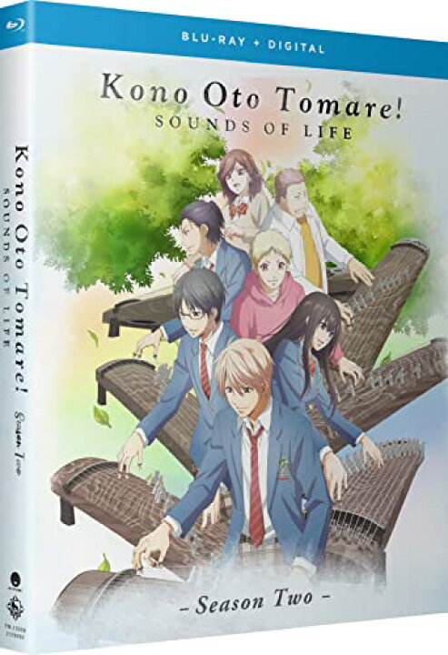楽天市場 この音とまれ 第2期 全13話boxセット ブルーレイ Blu Ray ツーアール 楽天市場店