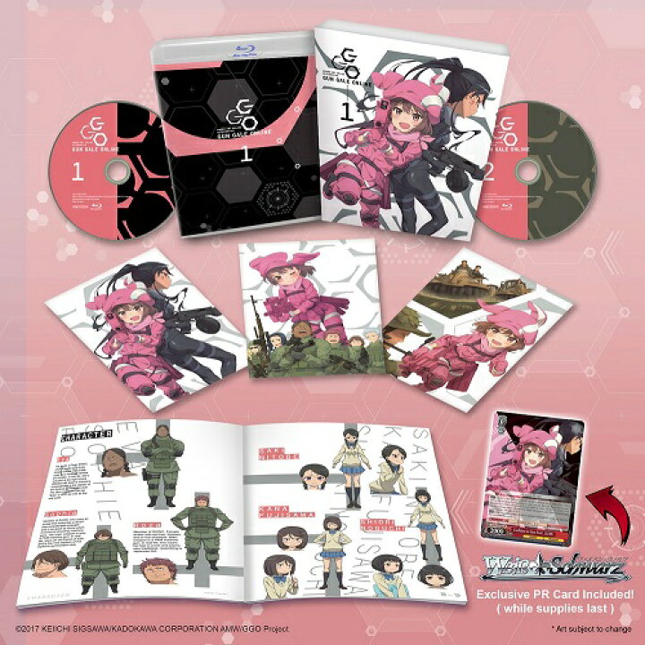 楽天市場】ソードアート・オンライン オルタナティブ ガンゲイル