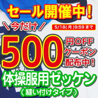 【最大500円OFFクーポン配布中】体操服 名前 ゼッケン 名入れ 印刷 体操着 水着 名入れ 縫い付けタイプ …