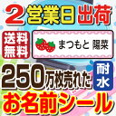 名前シール 防水 おなまえシール お名前シール 入学 算数セット ネームシール 入学準備 入園準備 工場 自社製作 入園 …