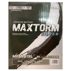 obe[ MAXTORM MAX-MF55B19L g^ J[o TB-EE103V 12N8`14N7 Wndl B19L^Cv  98