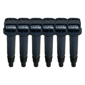 �C�O�j�b�V�����R�C�� U5384 6�{�Z�b�g 30520-RS8-004 NGK �_�΃R�C��
