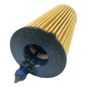 HENGST ICGg BMW 5V[Y DBA-JL10 p E362HD313