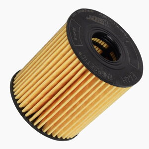 HENGST ICGg BMW ~j CBA-SX16 p E44HD110