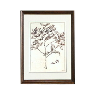 A zG t[ zG |p  i` FC-257-A EH[A[g A[gpl   GKg AeB[N