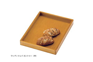 EbfBgC Jg[ij Y Xܔi { ؐ Y ؖ [  g a i`eCXg a_ AWAeCXg