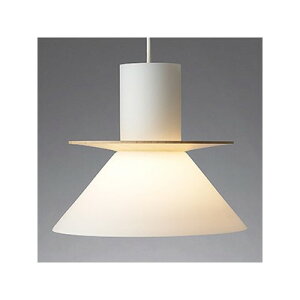 �R�c�Ɩ� LED�����v�����^�y���_���g���C�g ���M100W���� PD�|2662�|L