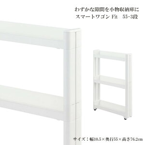 X}[gSFit W100 55-3i W  Lb` X [ bN  I bN [ XgbJ[ Tj^[ ʏ 