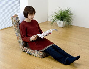 ̃Nȍ֎q ֎q NCjO֎q a rO _CjO  ̓ ̓