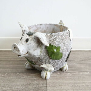  Jo[ v^[ u^ v^[Jo[ |bg K[fjO AeB[N u IuWF  킢