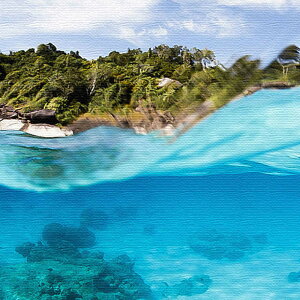 楠哲也氏が撮影したインテリアパネル/水中 Mサイズ(30cm×30cm) ウォールアート 壁掛け おしゃれ 北欧 モダン 新築祝い 開店祝い 結婚祝い お洒落 玄関 寝室 リビング 応接室