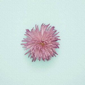 yA[gfzԂ̃A[gpl CeAG LoX LTCYi57cm×57cmj EH[A[g Ǌ|  k _ Vzj JXj j   Q rO 