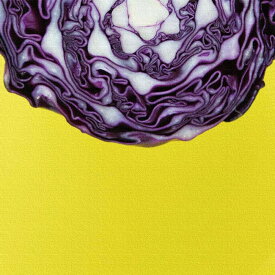 楽天市場 野菜 壁紙 装飾フィルム インテリア 寝具 収納 の通販