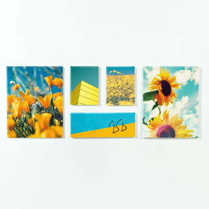 �y5���Z�b�g�z�f�R���e�B�u�̃t�@�u���b�N�{�[�h�Z�b�g �f�R���e�B�u �C�G���[ 5���Z�b�g( 32×41cm 16×22cm �e2�� 37×14 1�� ) �E�H�[���A�[�g �Ǌ|�� ������� �k�� ���_�� �V�z�j�� �J�X�j�� ��